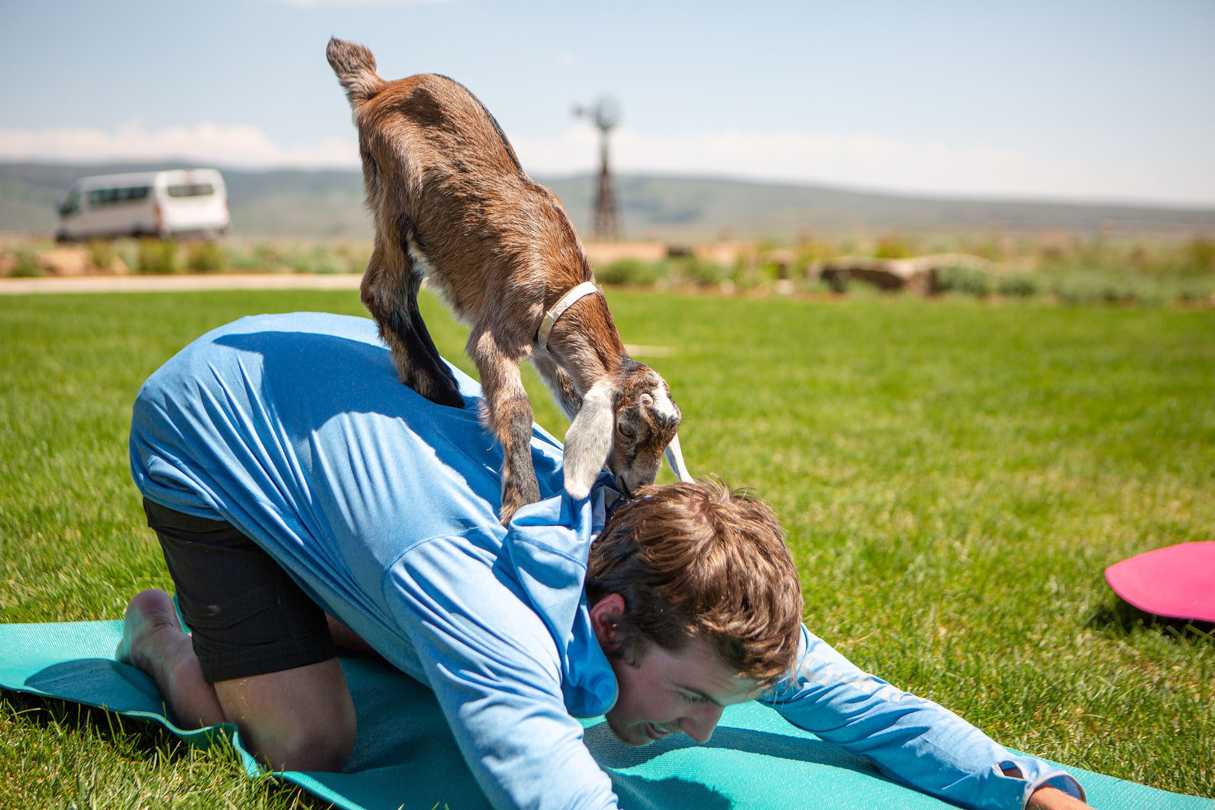 Luxury Ranch Resort Goat Yoga