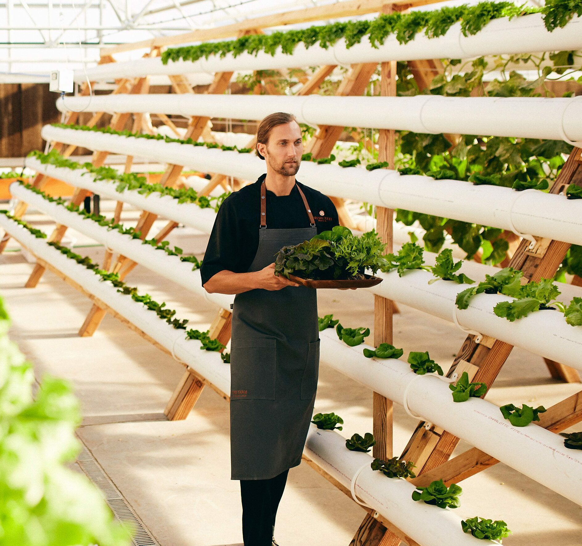 Farm-to-Table Culinary Resort